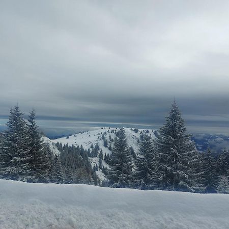 Apartman Milly Kopaonik Exterior foto